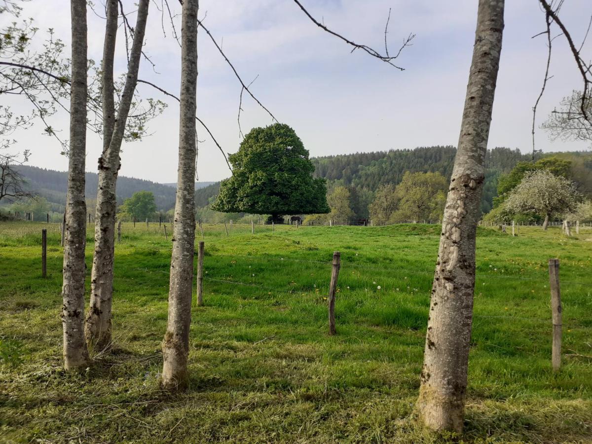 Le Repos Du Nomade B&B 7 Personnes Manhay Esterno foto